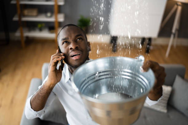Best Water damage restoration near me  in Daly City, CA
