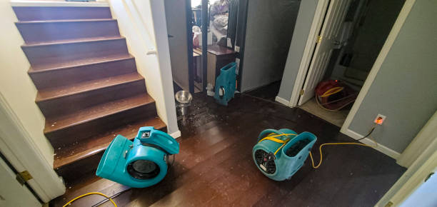 Best Residential water damage restoration  in Daly City, CA