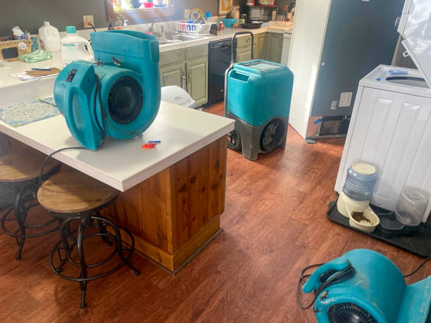 Best 24-hour water damage restoration  in Daly City, CA
