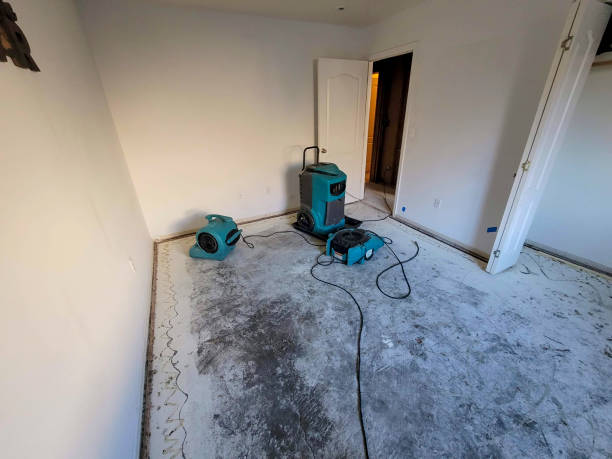 Best Local water damage restoration  in Daly City, CA