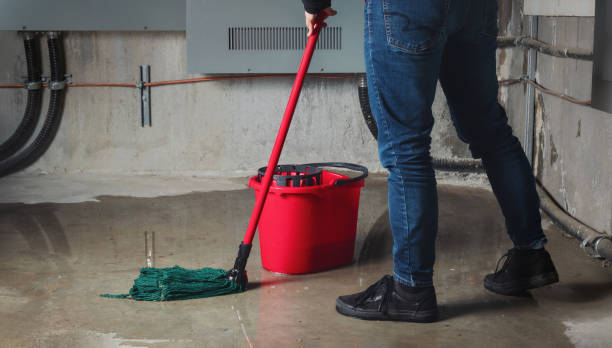 Best Basement water damage restoration  in Daly City, CA