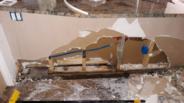 Best Water damage restoration near me  in Daly City, CA