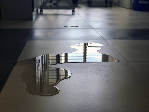 Professional Water damage restoration in Daly City, CA