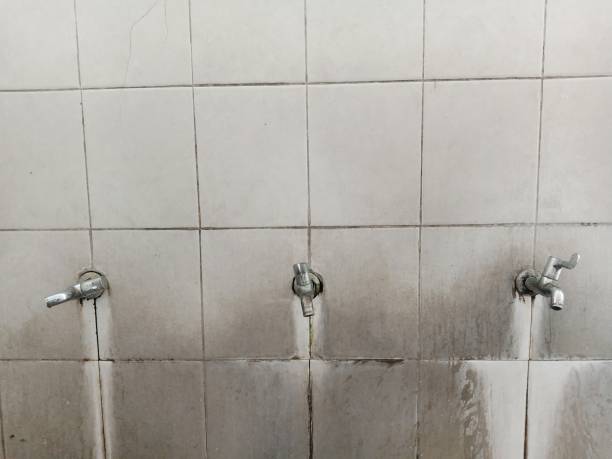 Best Basement water damage restoration  in Daly City, CA