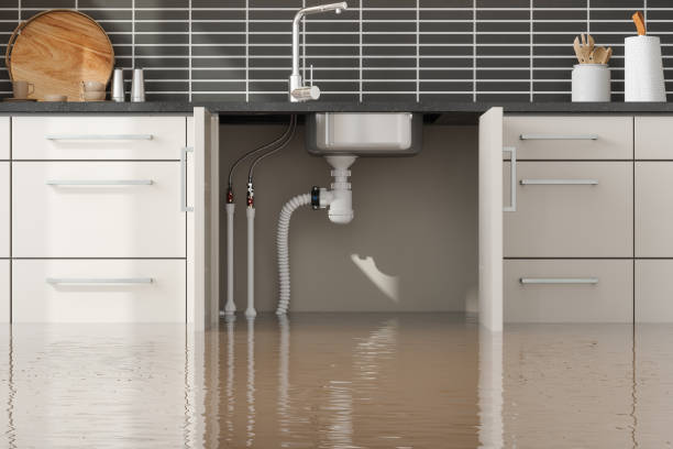 Best Flood damage cleanup  in Daly City, CA