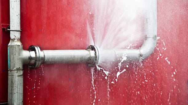 Best Carpet water damage restoration  in Daly City, CA